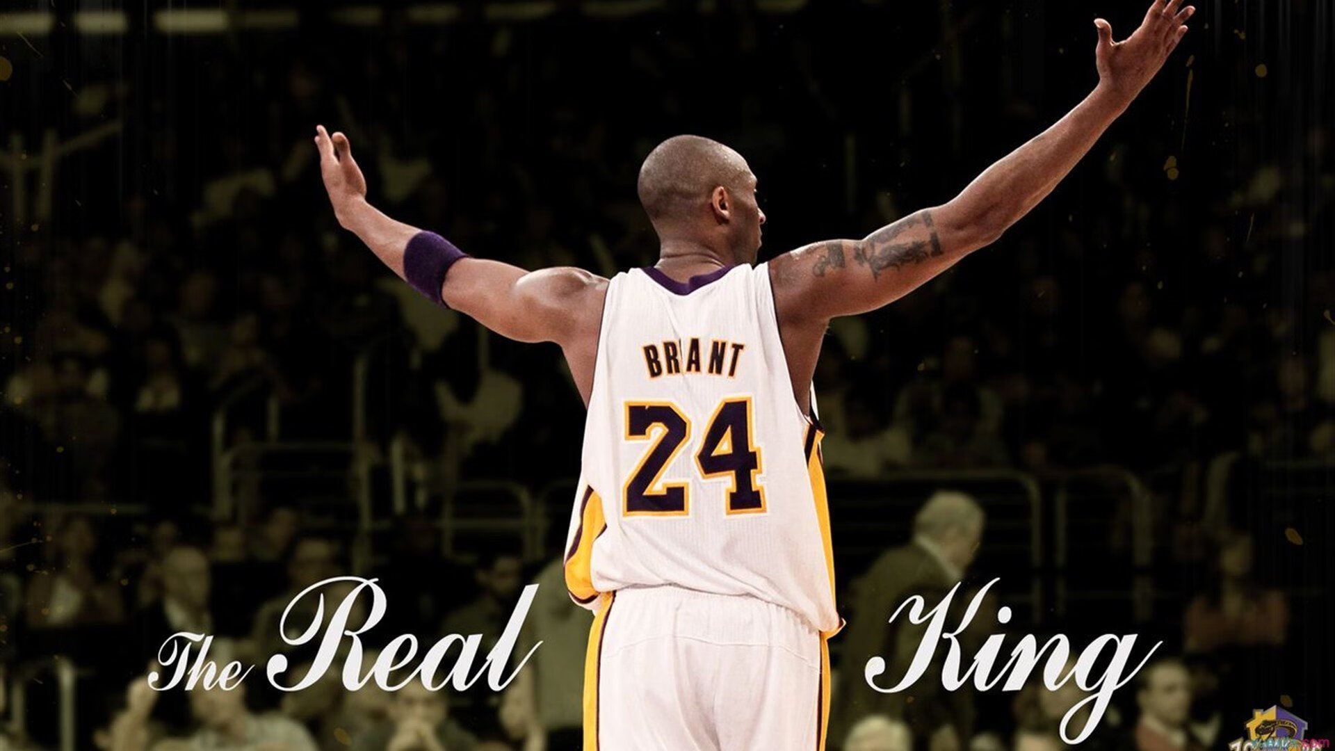 高尔在袋鼠队中的全能作用，使球队攻防更具平衡